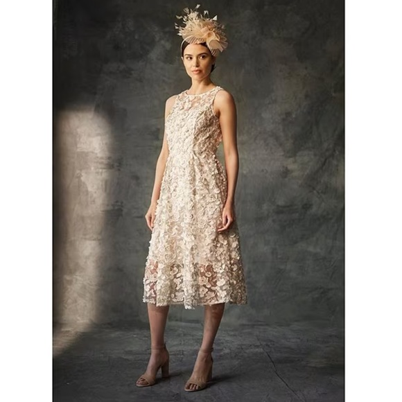 Adrianna Papell Floral Embroidered Crew Neck Fit and Flare Dress - Picture 3 of 17